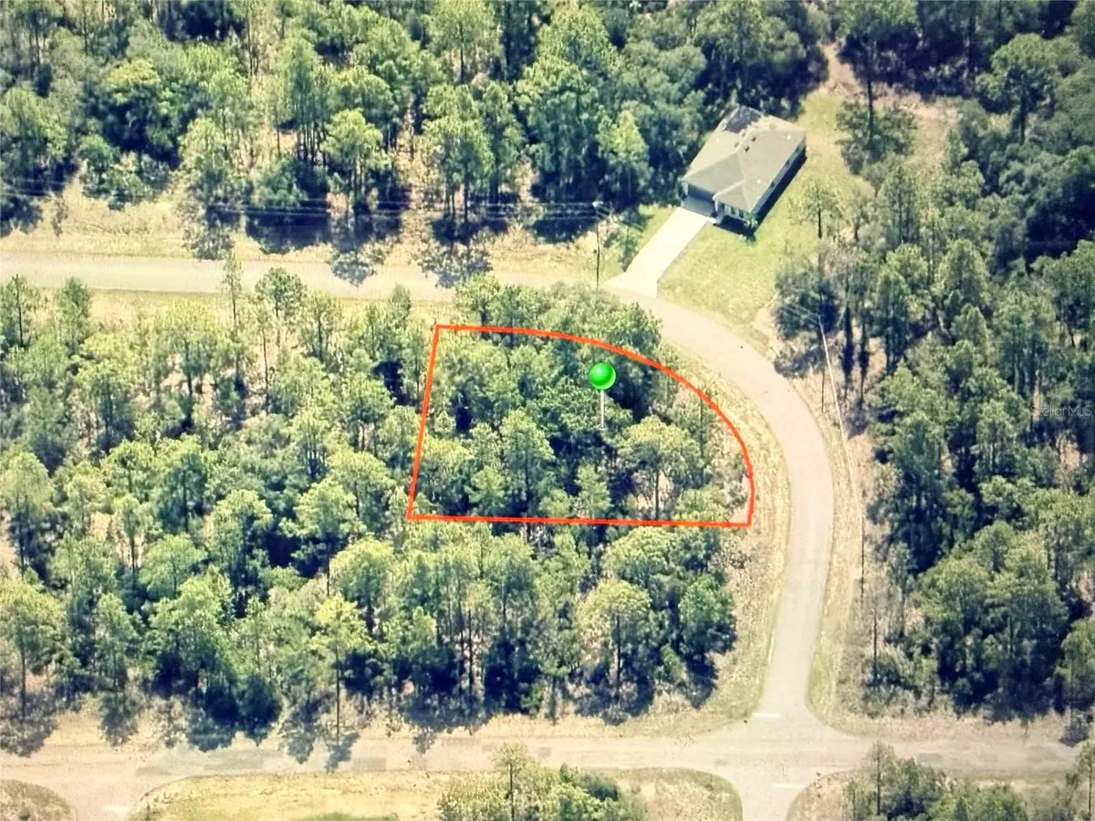 6684 N Waterman Drive, Dunnellon, FL 34433 - #1
