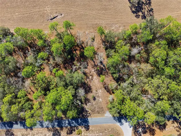 24456 SW Tiger Lake Boulevard W, DUNNELLON, FL 34431