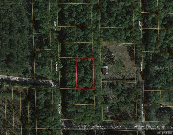 0000 NE 65th Court, CITRA, FL 32113