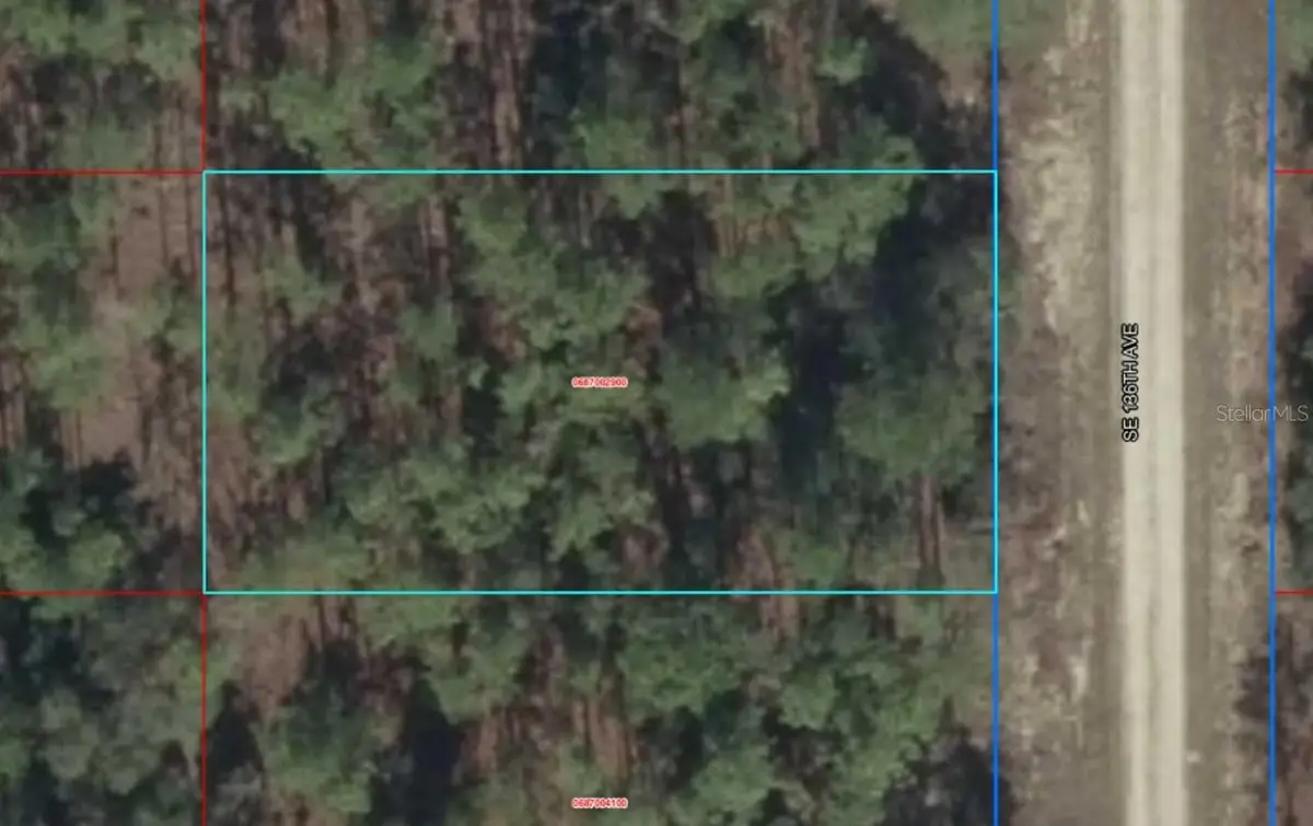 Lot 10 SE 136th Avenue, Dunnellon, FL 34431 - #1