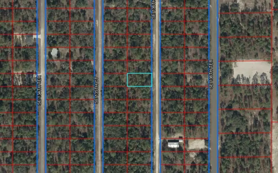 Lot 10 SE 136th Avenue, Dunnellon, FL 34431 - #3