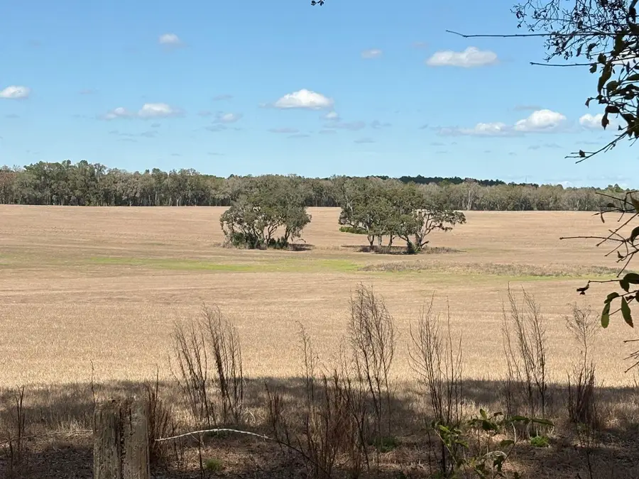 SW 69th Place, Dunnellon, FL 34431 - #2