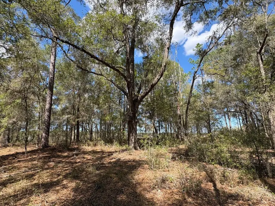 SW 69th Place, Dunnellon, FL 34431 - #3