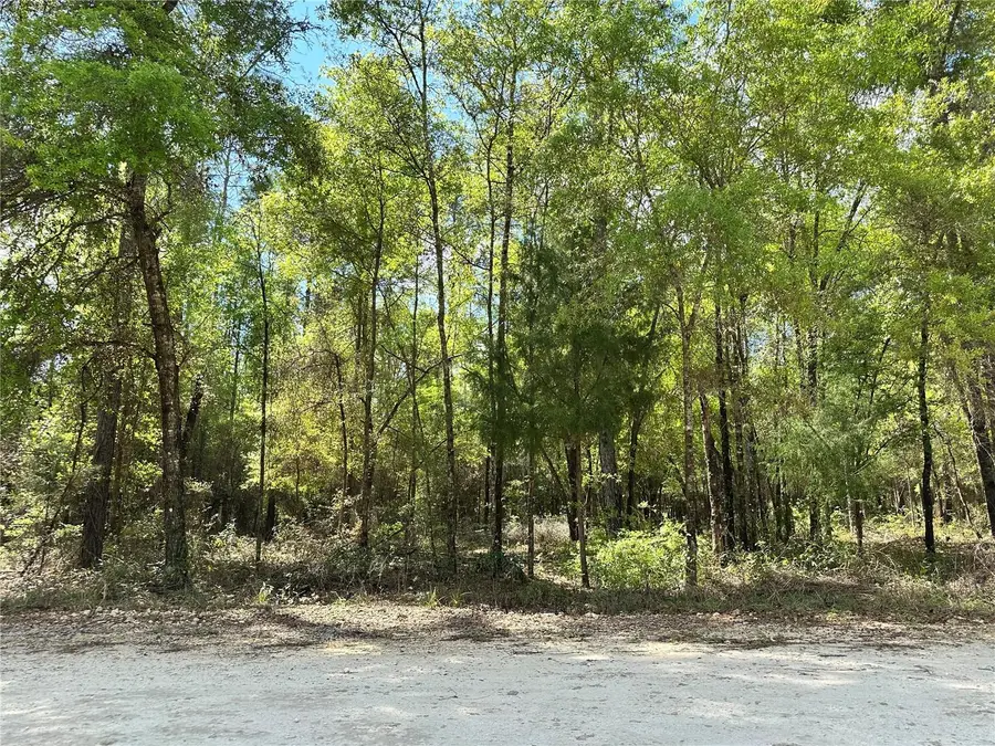 10350 NE 74th Place, Bronson, FL 32621 - #2