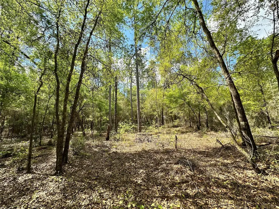 10350 NE 74th Place, Bronson, FL 32621 - #3