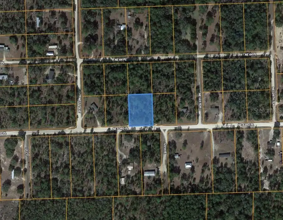 tbd NE 63rd Place, Williston, FL 32696 - #1