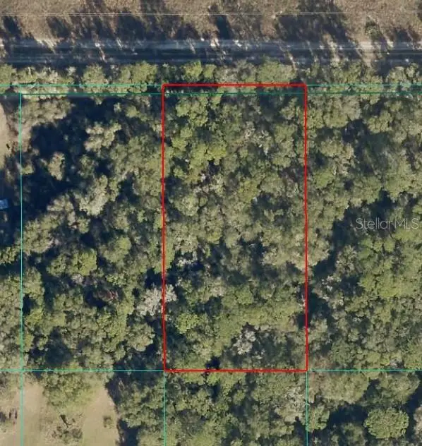 Tract 15 SW 150th Street, Dunnellon, FL 34433 - #3