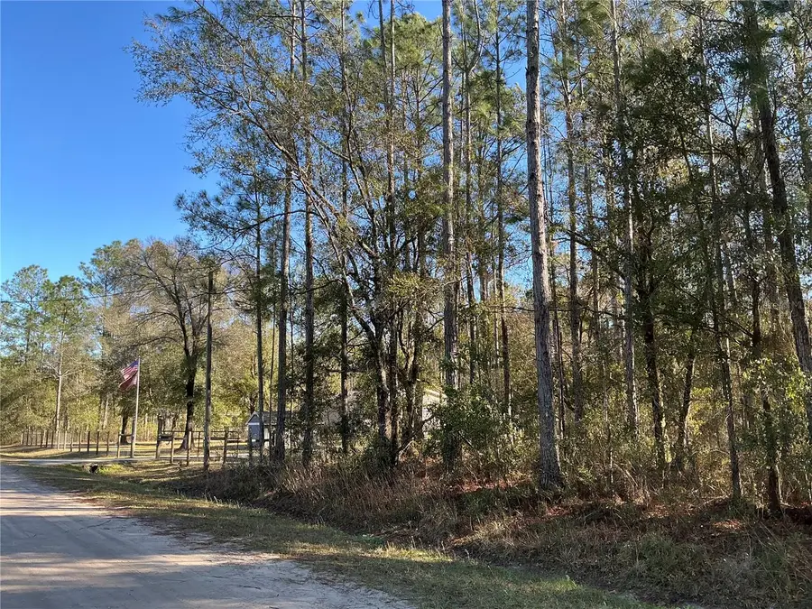 4345 Benedict Street, Hastings, FL 32145 - #2