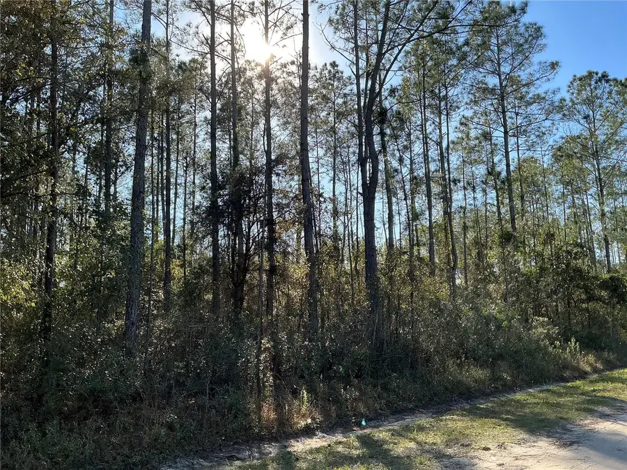 4345 Benedict Street, Hastings, FL 32145 - #3