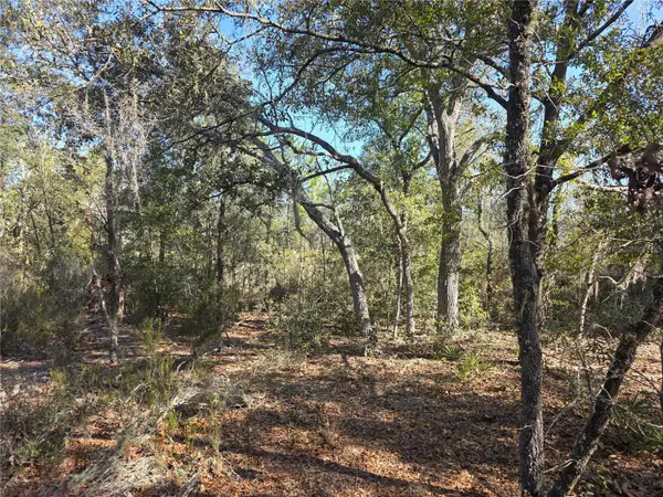 TBD NE 87th Place, BRONSON, FL 32621