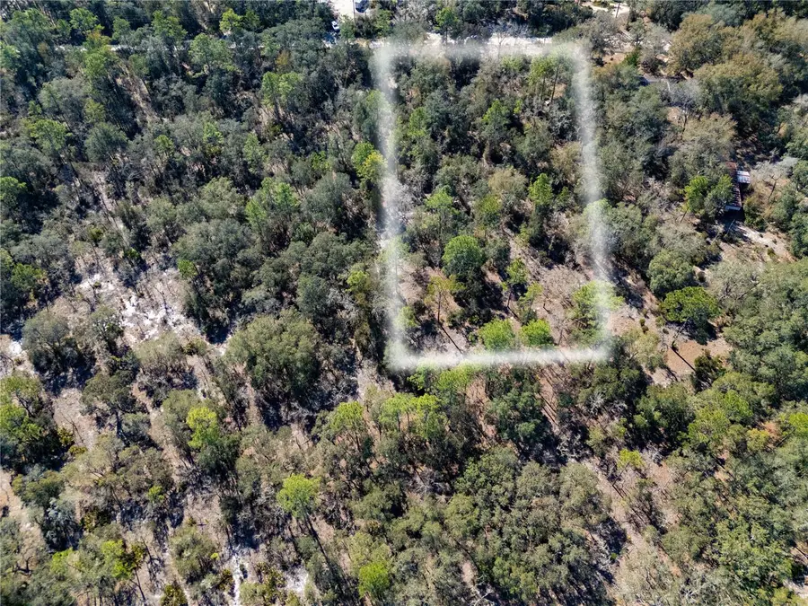 TBD NE 87th Place, Bronson, FL 32621 - #3