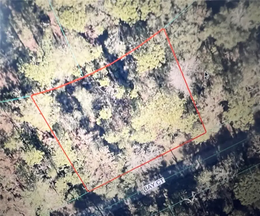 TBD Bay Court Road, Ocklawaha, FL 32179 - #2