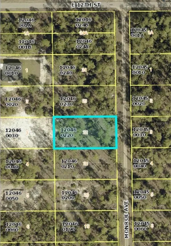 1119 Monroe Avenue, LEHIGH ACRES, FL 33972