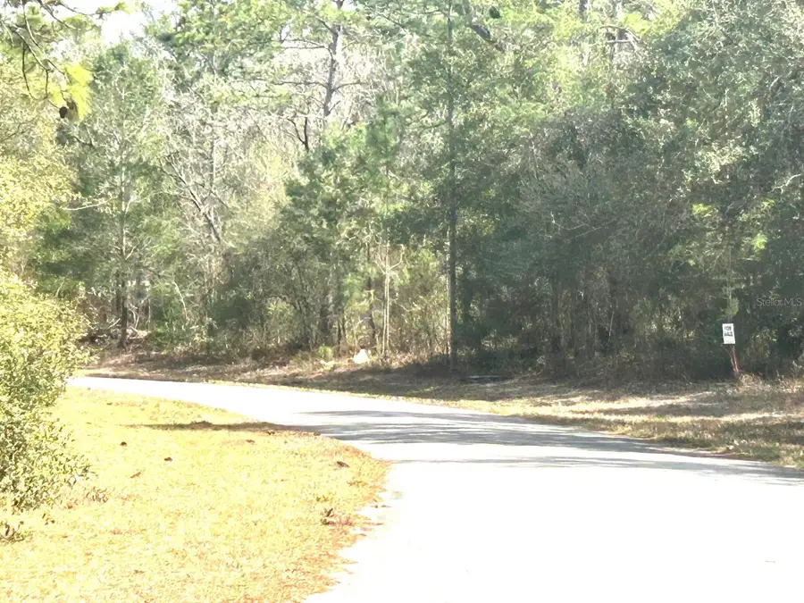 0 SW 163rd Street Road, Ocala, FL 34473 - #3
