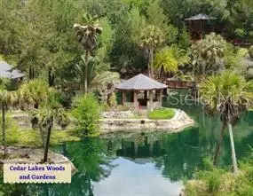 Se State Road 121 Lot 4, Morriston, FL 32668 - #3