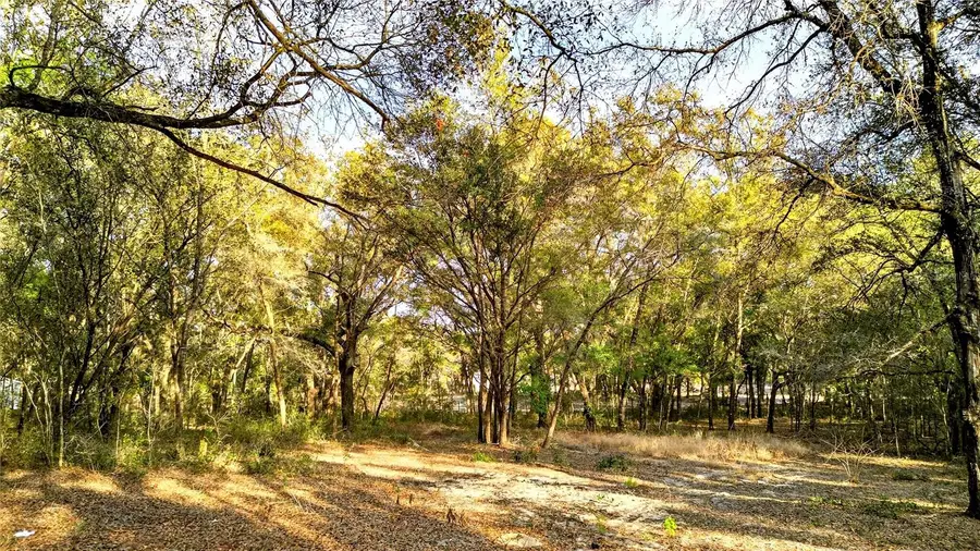 Se 180th Street, Weirsdale, FL 32195 - #2