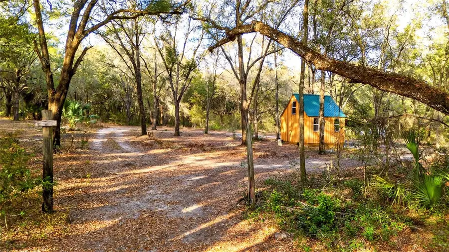 Se 180th Street, Weirsdale, FL 32195 - #3