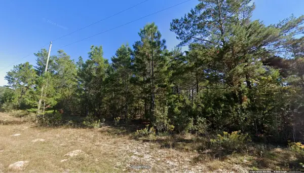 Lot 5 Unit 1 Blk 94 Pinehurst Avenue, CHIPLEY, FL 32428