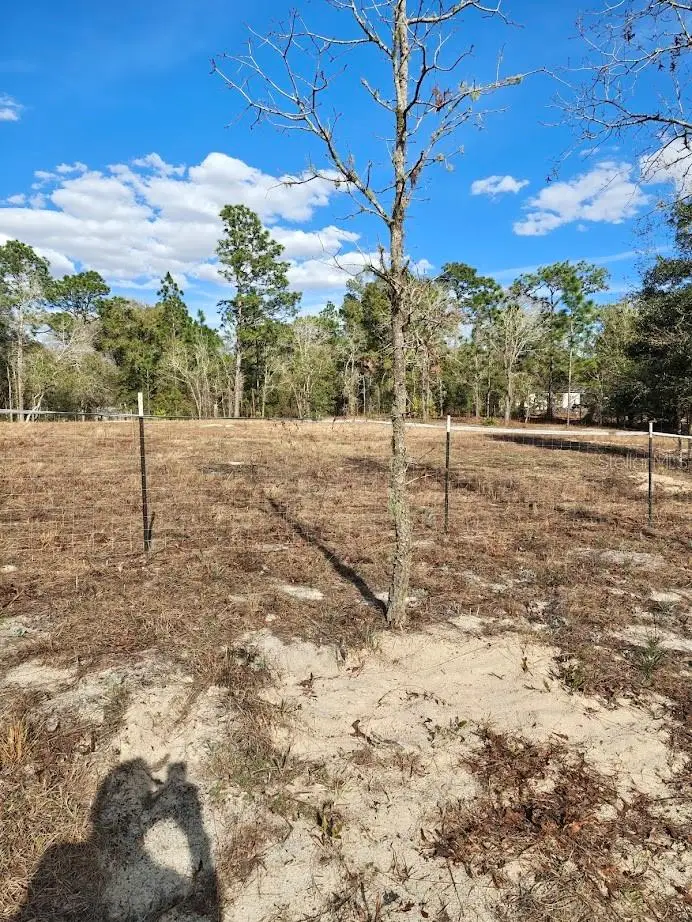 13105 SW 91st Place, Dunnellon, FL 34432 - #2