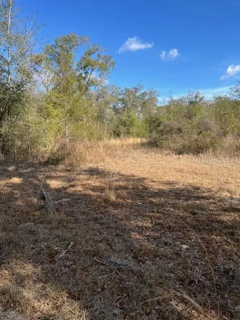 NW 7th Street, Ocala, FL 34482 - #2