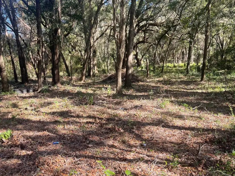 0 SE 130 Street, Belleview, FL 34420 - #2