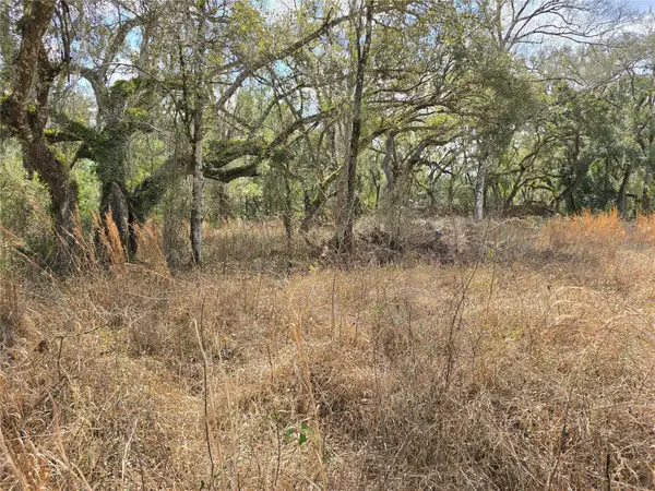 6436 Yam Street, WEBSTER, FL 33597