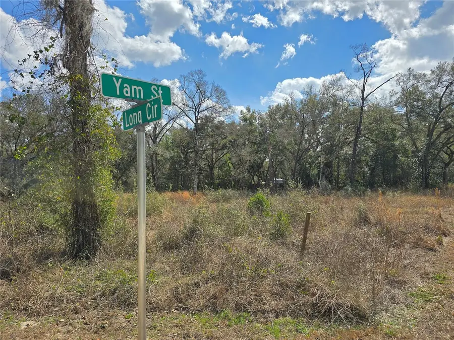 6436 Yam Street, Webster, FL 33597 - #2