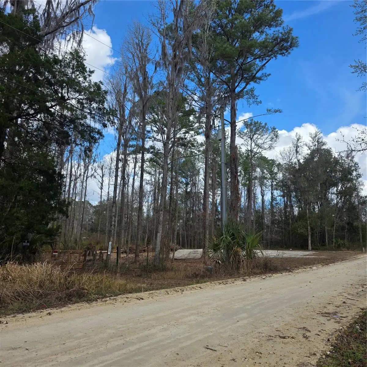 SW 11th Street Rd, Ocala, FL 34481 - #1