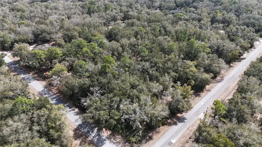 12786 W Cornflower Drive, Crystal River, FL 34428 - #3