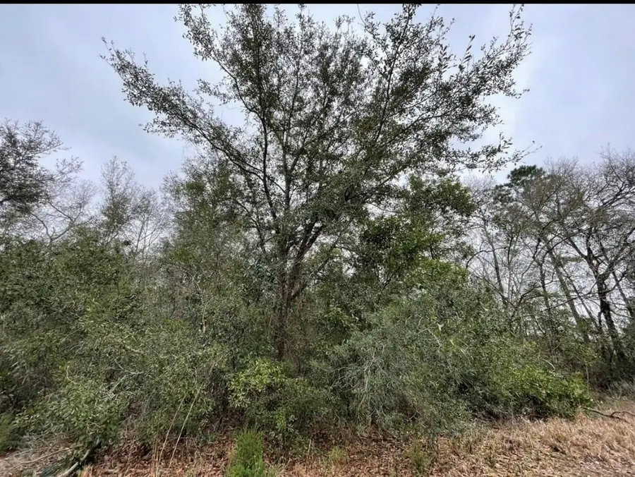 0 NE 128 Avenue, Williston, FL 32696 - #2