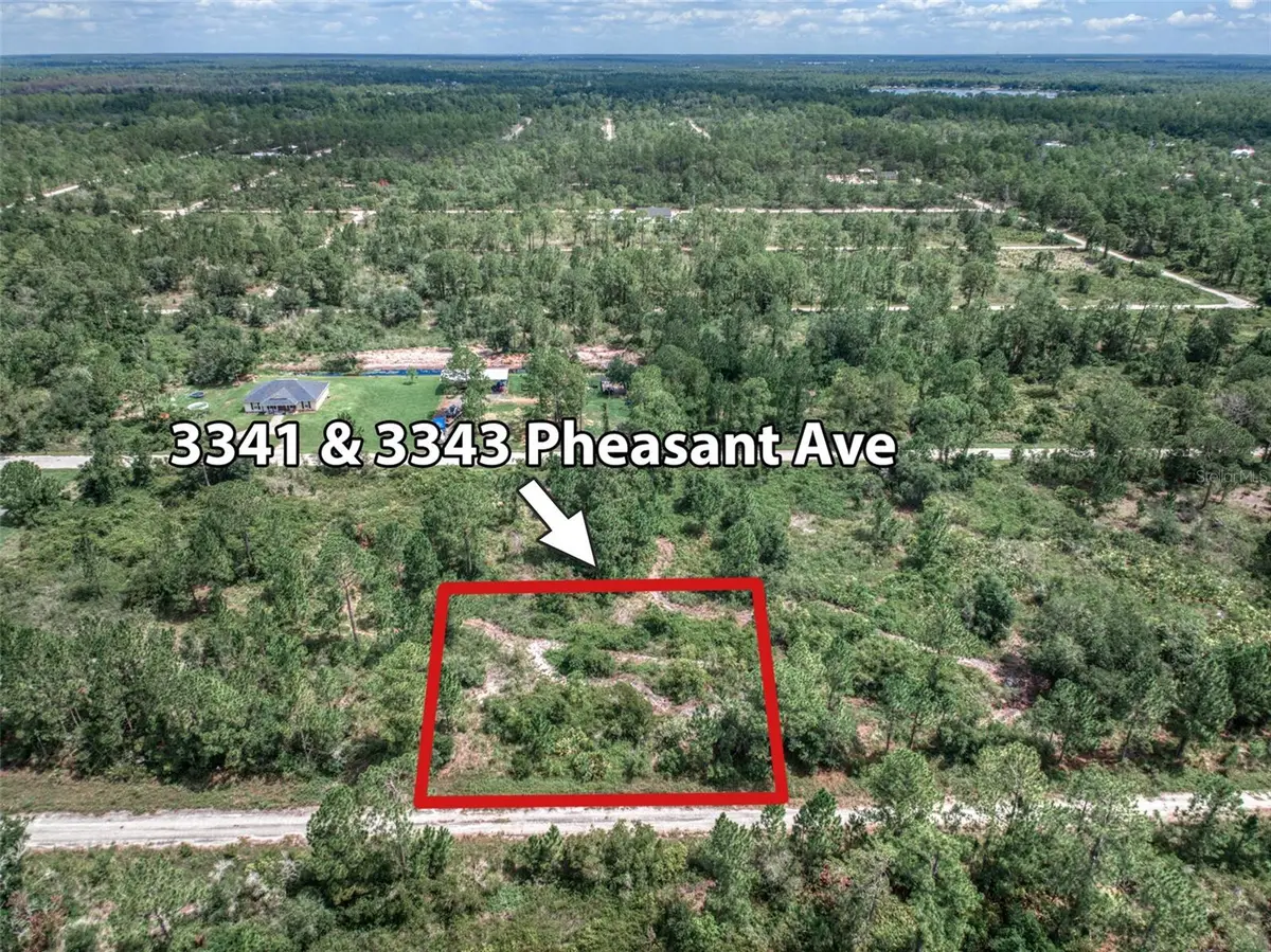 3341 & 3343 Pheasant Avenue, Lake Placid, FL 33852 - #1