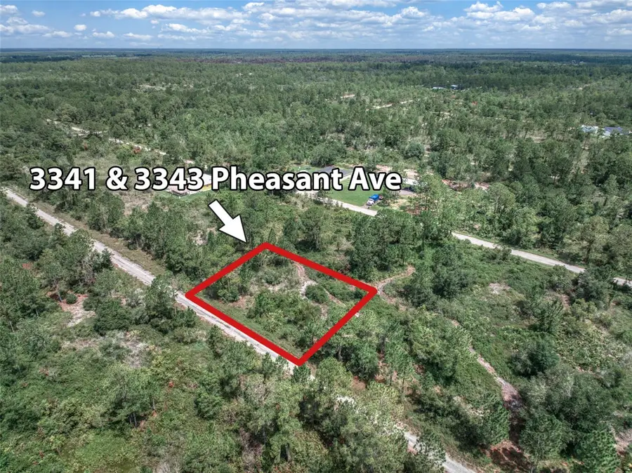 3341 Pheasant Avenue, Lake Placid, FL 33852 - #2