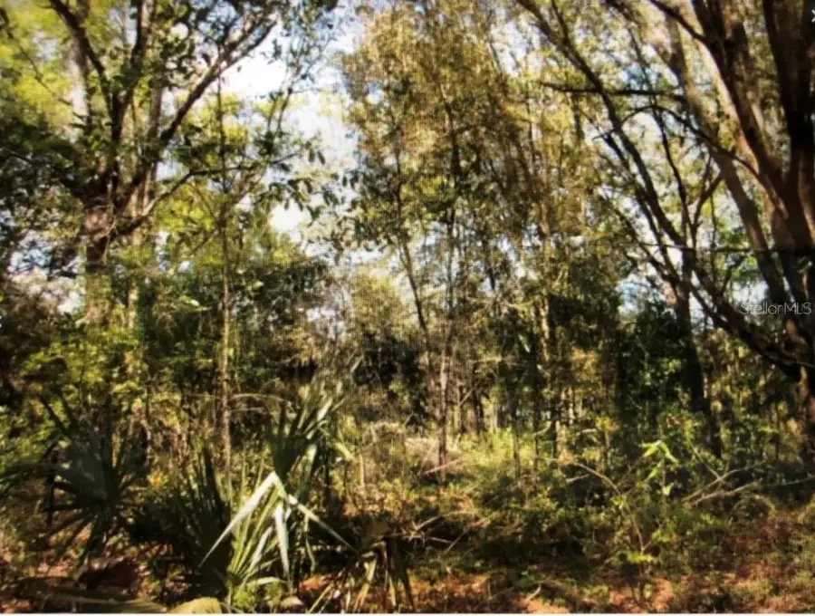 0 NE 123rd Avenue, Williston, FL 32696 - #3