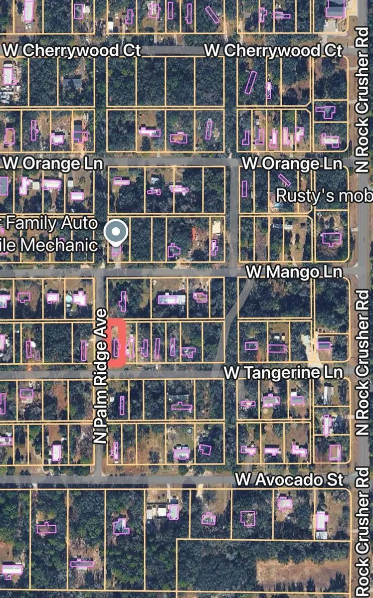 589 N Palm Ridge Avenue, Crystal River, FL 34429 - #2