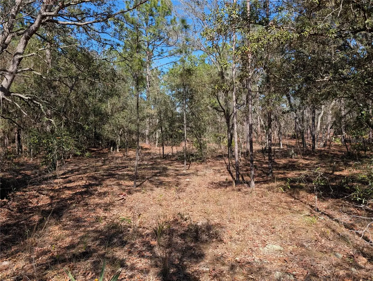 SW 81st Street, Dunnellon, FL 34432 - #1