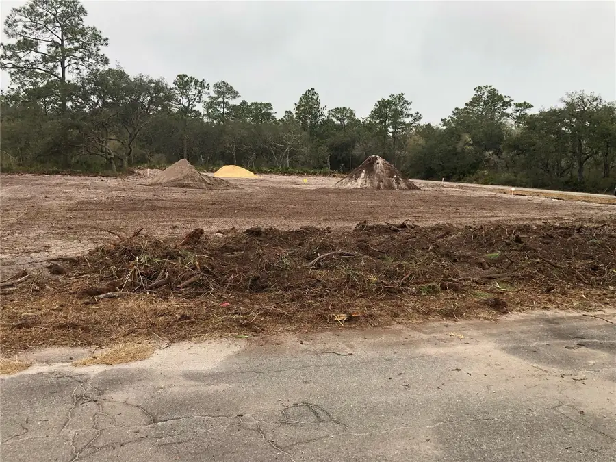 0 Fisher Loop, Ocklawaha, FL 32179 - #2