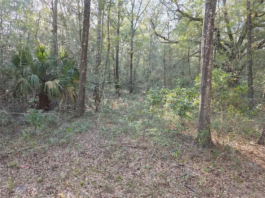 8150 NE 178th Terrace, Williston, FL 32696 - #2