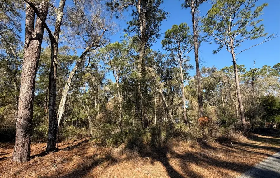 5230 S Robert Blake Avenue, Inverness, FL 34452 - #3