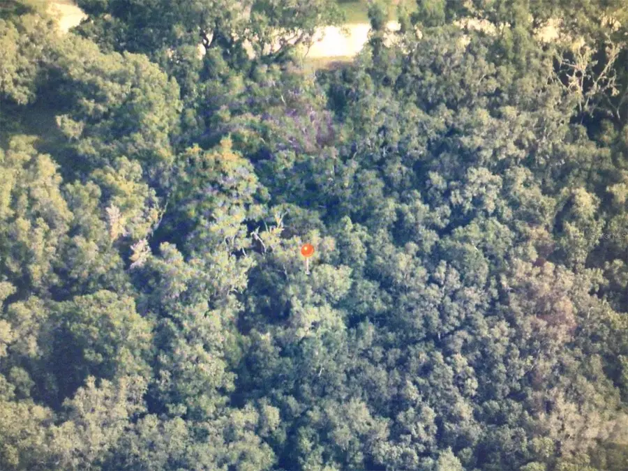 0 SW 104 Street, Dunnellon, FL 34432 - #2