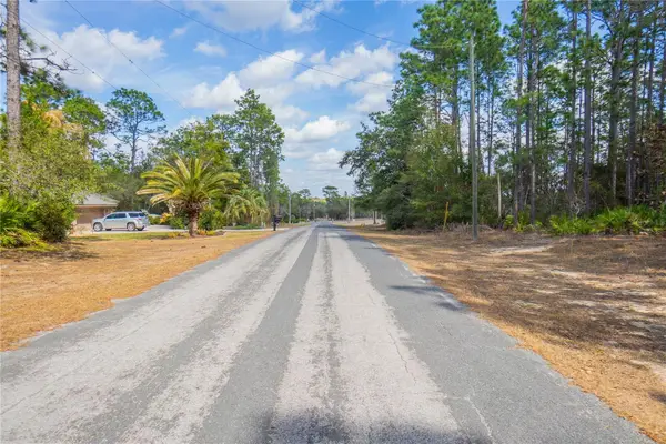 5100 N Red Ribbon Point, BEVERLY HILLS, FL 34465