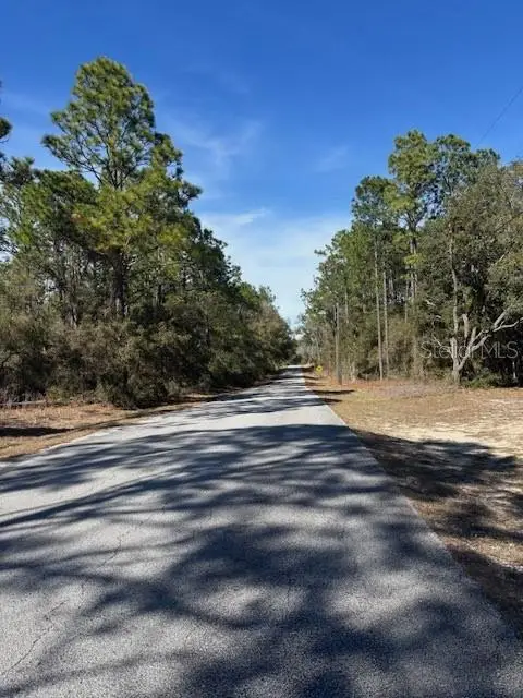 TBA SW 207 Court #4, Dunnellon, FL 34431 - #2