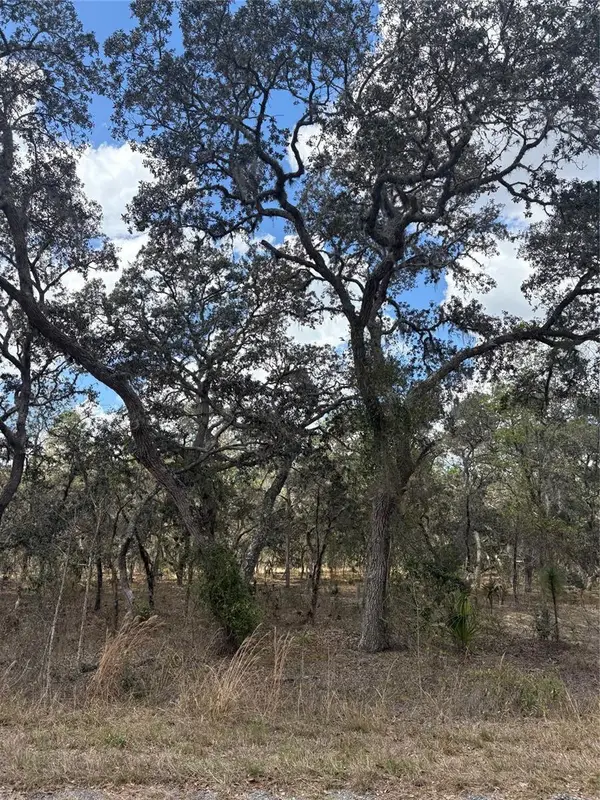 TBA SE 131st Terrace, DUNNELLON, FL 34431