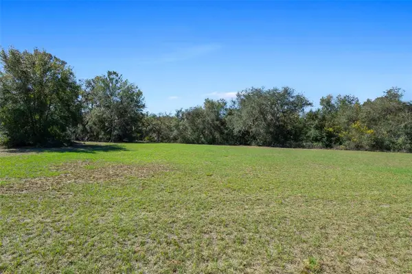 18434 SE 24th Street, SILVER SPRINGS, FL 34488