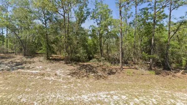 00 SW Rainbow Lakes Boulevard, DUNNELLON, FL 34431