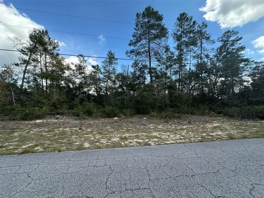 8385 N Farrington Drive, Citrus Springs, FL 34433 - #2