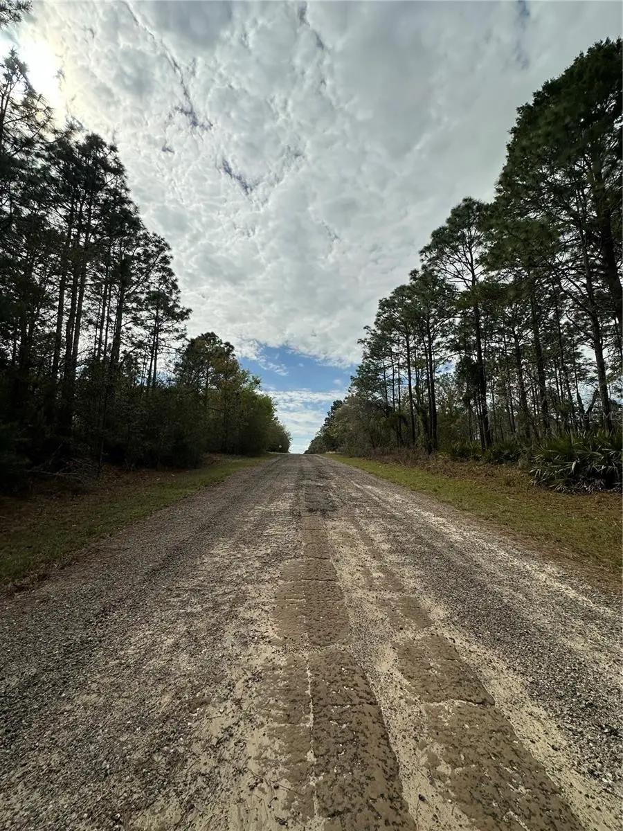 1639 W Pendleton Street, Dunnellon, FL 34434 - #3