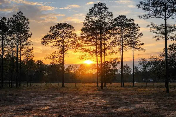 6 SW Lombardy Lane, DUNNELLON, FL 34431