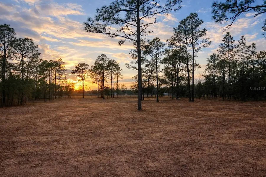 6 SW Lombardy Lane, Dunnellon, FL 34431 - #2