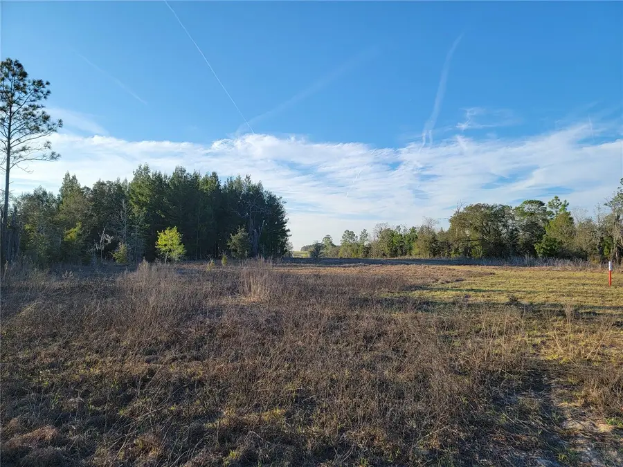 0 NE 20th Street, Williston, FL 32696 - #2