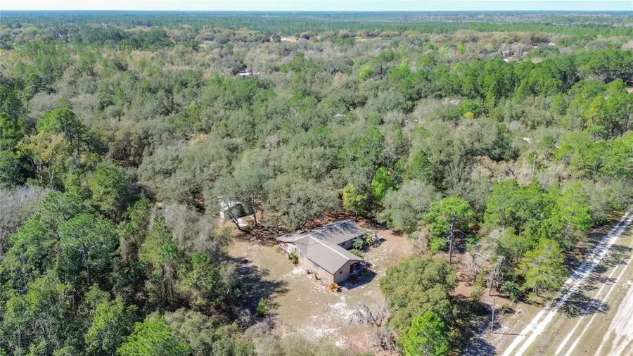 13455 NE 228th Lane Road, Fort McCoy Anthony, FL 32134 - #2